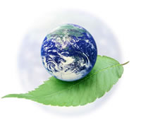 Graphic of the Earth on a leaf