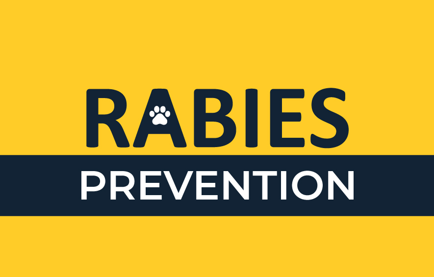 Image saying "Rabies Prevention"